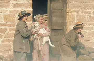 Tea with Mussolini (Herbatka z Mussolinim) [DVD]
