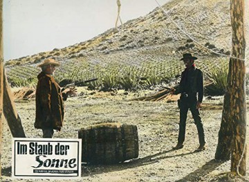 Django, Tire