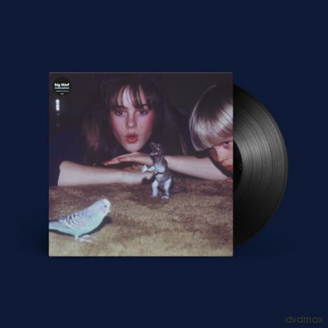 Big Thief: Masterpiece [Winyl]