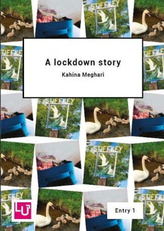 A Lockdown Story [KSIĄŻKA]