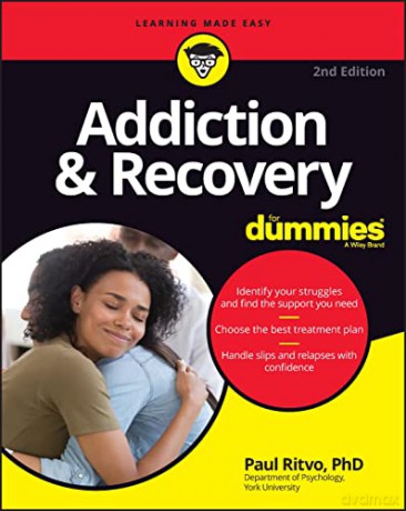 Addiction 38 Recovery For Dummies 2 [KSIĄŻKA]