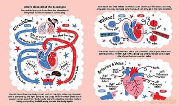 All About The Heart [KSIĄŻKA]