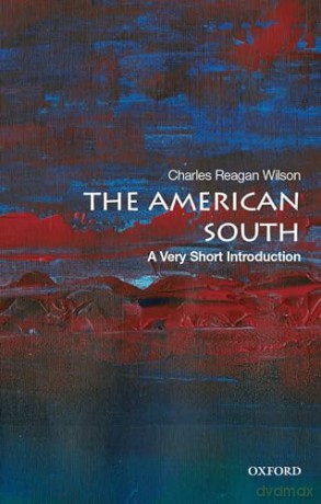 American South - Wilson Charles Reaga [KSIĄŻKA]