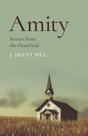 Amity Stories From The Heartland - Brent J Bill [KSIĄŻKA]