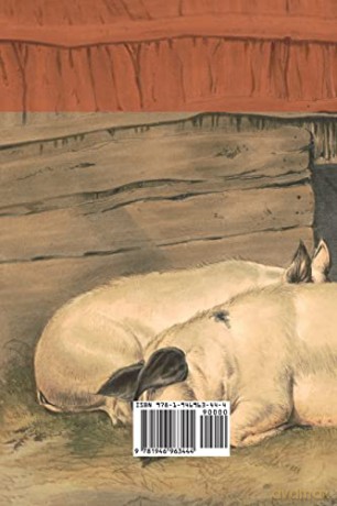 Animal Farm: A Fairy Story - George Orwell [KSIĄŻKA]