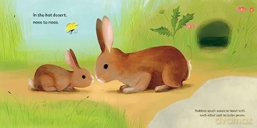 Animal Snuggles - Aimee Reid [KSIĄŻKA]