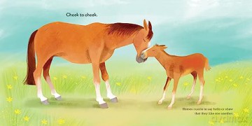 Animal Snuggles - Aimee Reid [KSIĄŻKA]