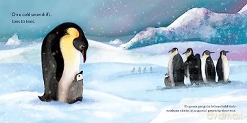 Animal Snuggles - Aimee Reid [KSIĄŻKA]