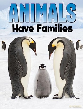 Animals Have Families - Nadia Ali [KSIĄŻKA]