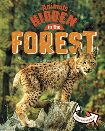 Animals Hidden In The Forest - Jessica Rusick [KSIĄŻKA]