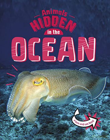Animals Hidden In The Ocean - Jessica Rusick [KSIĄŻKA]