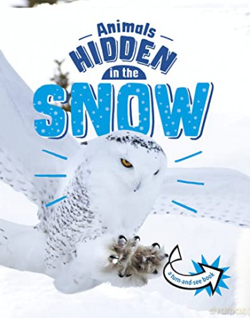 Animals Hidden In The Snow - Jessica Rusick [KSIĄŻKA]