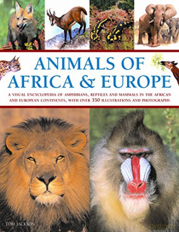 Animals Of Africa Europe - Jackson [KSIĄŻKA]