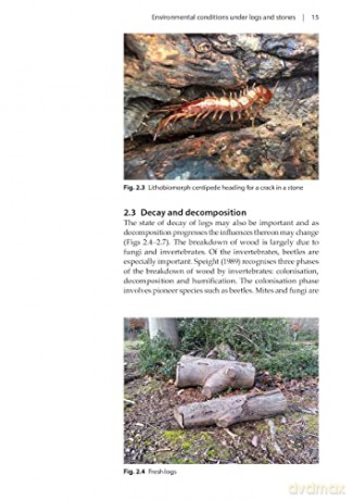Animals Under Logs And Stones - C. Philip Wheater [KSIĄŻKA]