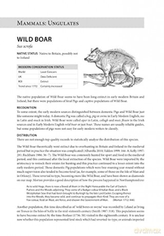 Atlas Of Early Modern Wildlife - Lee Raye [KSIĄŻKA]