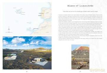 Atlas Of Unusual Wines - Pierrick Bourgault [KSIĄŻKA]