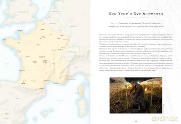 Atlas Of Unusual Wines - Pierrick Bourgault [KSIĄŻKA]