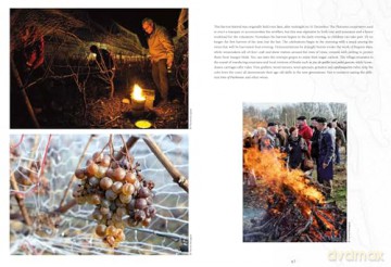 Atlas Of Unusual Wines - Pierrick Bourgault [KSIĄŻKA]