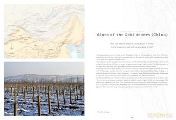 Atlas Of Unusual Wines - Pierrick Bourgault [KSIĄŻKA]