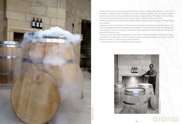 Atlas Of Unusual Wines - Pierrick Bourgault [KSIĄŻKA]