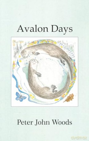 Avalon Days - Peter John Woods [KSIĄŻKA]