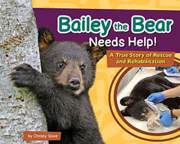 Bailey The Bear Needs Help [KSIĄŻKA]