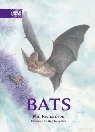 Bats - Phil Richardson [KSIĄŻKA]