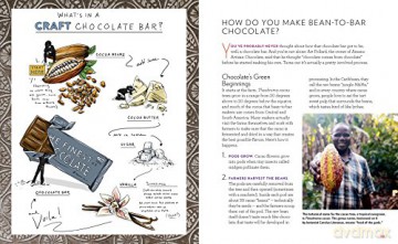 Bean To Bar Chocolate - Megan Giller [KSIĄŻKA]