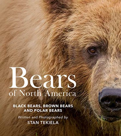 Bears Of North America - Stan Tekiela [KSIĄŻKA]