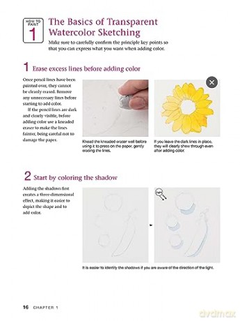 Beginners Guide To Watercolor Painting - Takako Miyoshi [KSIĄŻKA]