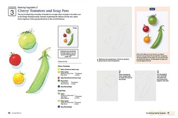 Beginners Guide To Watercolor Painting - Takako Miyoshi [KSIĄŻKA]