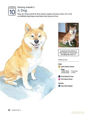 Beginners Guide To Watercolor Painting - Takako Miyoshi [KSIĄŻKA]