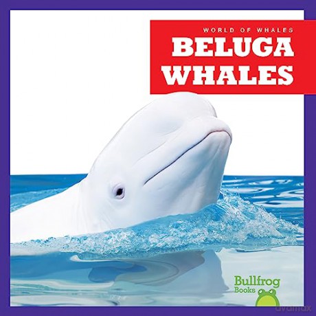 Beluga Whales - Katie Chanez [KSIĄŻKA]