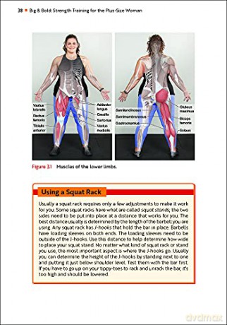 Big Bold Strength Training For The Pluss - Morit Summers [KSIĄŻKA]