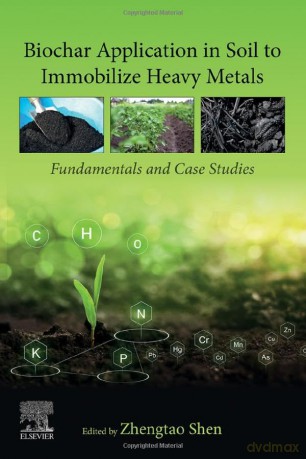 Biochar Application In Soil To Immobiliz - Zhengtao Shen [KSIĄŻKA]