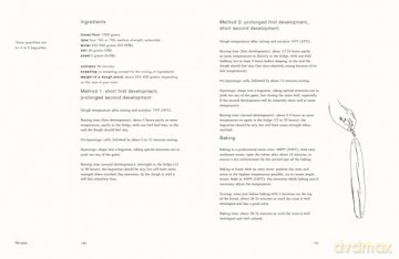 Book About Bread - I Niemeijer-Brown [KSIĄŻKA]