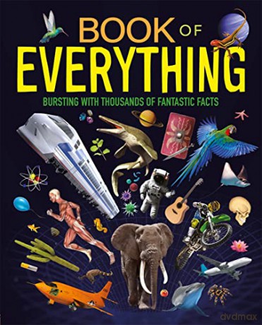 Book Of Everything [KSIĄŻKA]