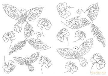 Butterflies And Birds [KSIĄŻKA]