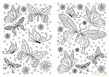 Butterflies And Birds [KSIĄŻKA]
