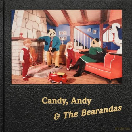 Candy Andy The Bearandas - Alan Dein [KSIĄŻKA]