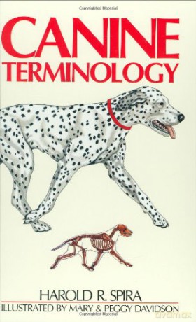 Canine Terminology - H R Spira [KSIĄŻKA]