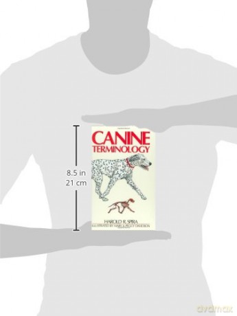 Canine Terminology - H R Spira [KSIĄŻKA]