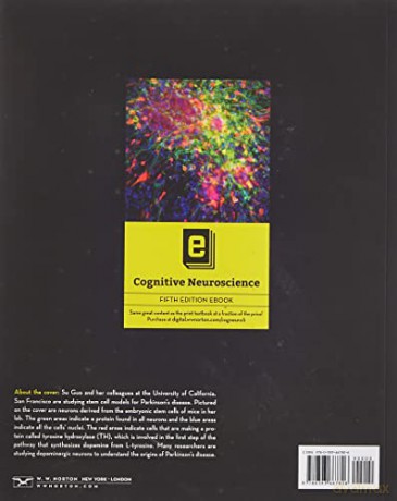 Cognitive Neuroscience The Biology Of T [KSIĄŻKA]