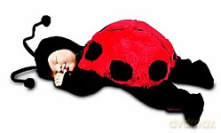 Śpiąca biedronka. Lalka 15`` - Anne Geddes [ZABAWKA]