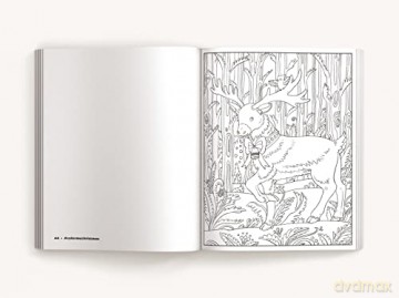Color Me Coloring Books Color Me Christm - Cider Mill Press [KSIĄŻKA]