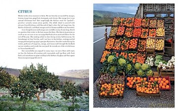 Coming Home To Sicily - Fabrizia Lanza [KSIĄŻKA]