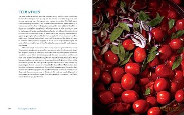 Coming Home To Sicily - Fabrizia Lanza [KSIĄŻKA]