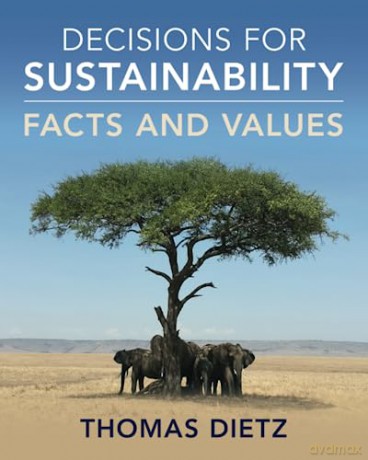 Decisions For Sustainability - Dietz Thomas [KSIĄŻKA]