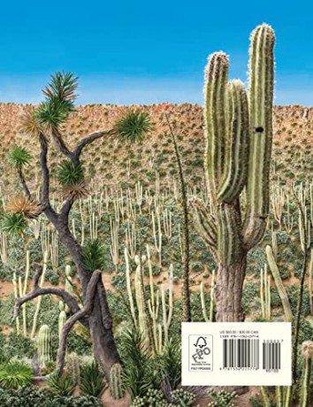 Desert Jungle - Jeannie Baker [KSIĄŻKA]