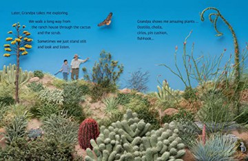 Desert Jungle - Jeannie Baker [KSIĄŻKA]